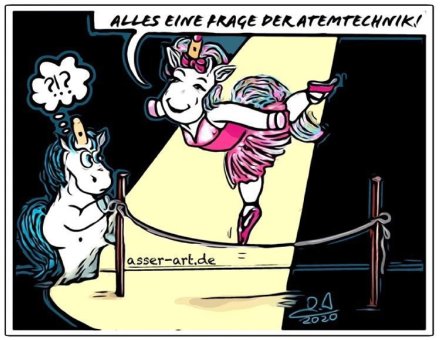 Stinkefingereinhorn - Ines Asser